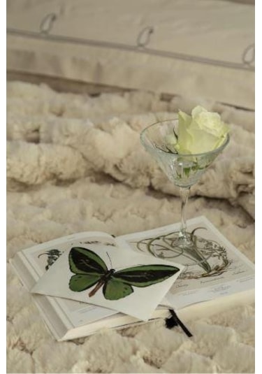 Çift Kişilik Yatak Örtülü Tam Set Silverfox Ekru Ekru