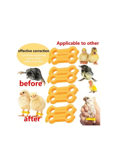 Willowhaven 7 Adet Civciv Bacak Desteği, Yeni Doğan Kuşlar İçin