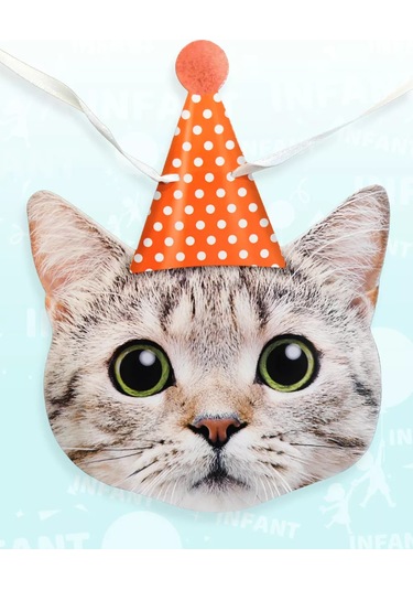 Infant Doğum Günü İçinşapkalı Kedili Bayraklı Işık Zinciri 177976919 Diğer