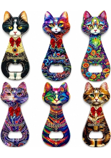 Kedi Tasarımı İstanbul Temalı Buzdolapı Süsü Magnet Alk5408