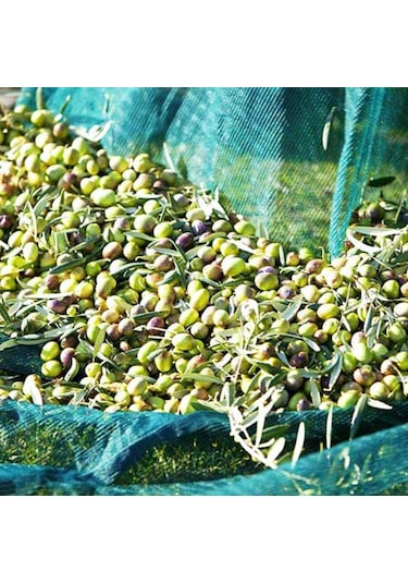 6x10 Metre Zeytin Sergisi Zeytin Toplama Filesi Fındık Fıstık Örtüsü Gölgelik Dut Meyve Sergisi Taban Örtüsü