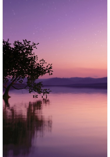 Estee Lauder Sensuous Stars Kadın Parfüm EDP 100 ML