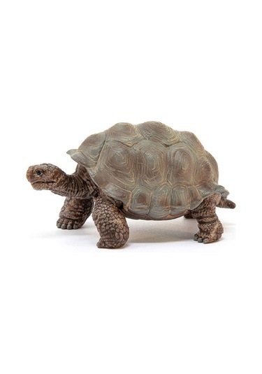 Schleich Dev Tosbağa 14824