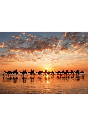 Educa 1000 Parça Cable Beach'Te Günbatımı Puzzle - Develer