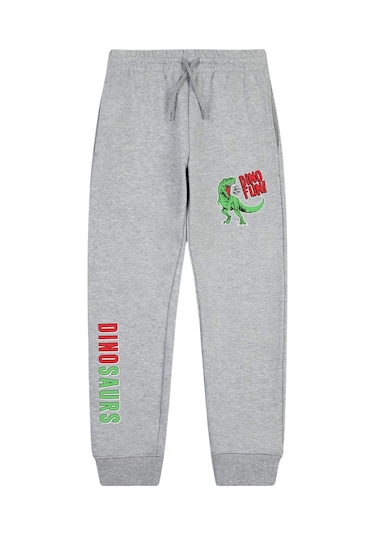Dino Fun Baskılı Çift Cepli Erkek Çocuk Jogger Eşofman Altı Gri