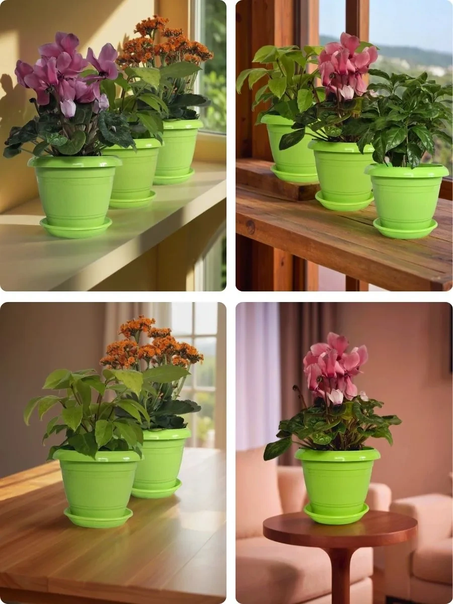 5plast 3'lü Sırp Etkin Ayçiçeği Bitki Saksısı 447554424