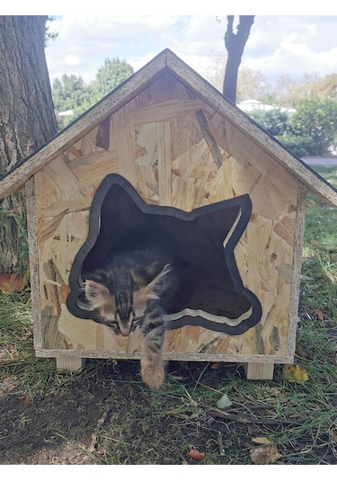 Suya Dayanıklı Kaliteli Ahşap Kedi Kulubesi