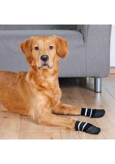 Trixie Kaymaz Çizgili Desen Köpek Çorabı 2 Adet