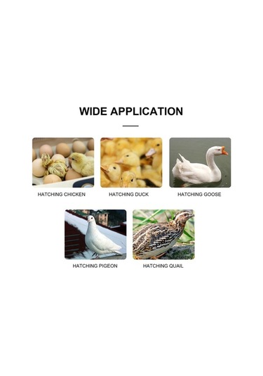 Ulzyvf Zfx-w9002 Yüksek Ve Termostatı Sıcaklık Nem Kuluçka Kontrol Hassasiyetli Dijital Cihazı - Fw