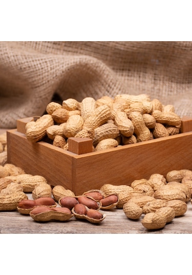 Kurtuluş Kuruyemiş Kabuklu Fıstık 500 G