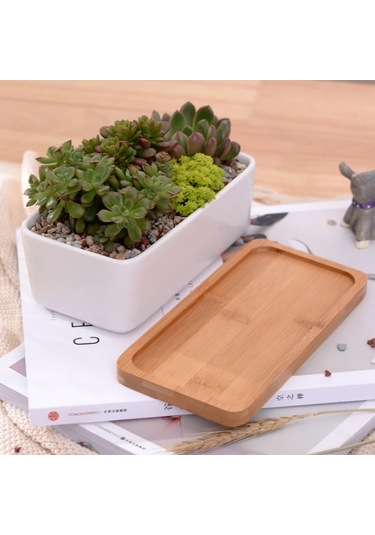 Yifomall Beyaz Seramik Dikdörtgen Saksı - Bambu Tepsi İle Minimalist Sukulent Ve Çiçek Saksısı