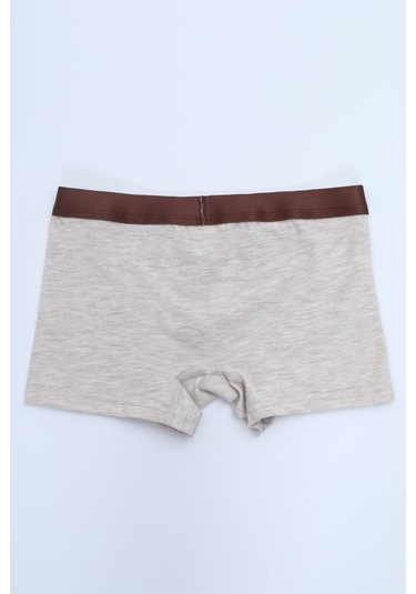 Toontoy Erkek Çocuk Çok Desen Baskılı 4lü Paket Boxer Çok Renkli