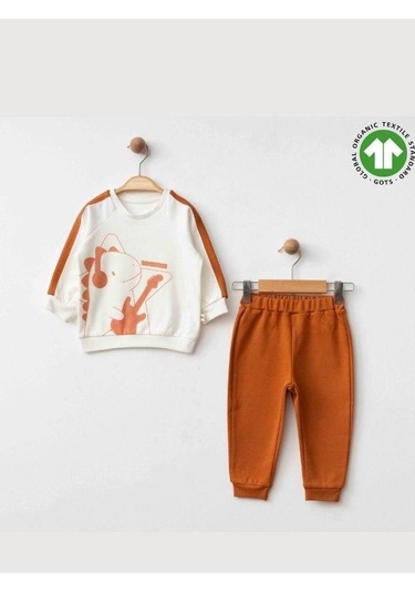 Erkek Bebek Dinazor Baskılı Organik Eşofman Takım-15477 renkli