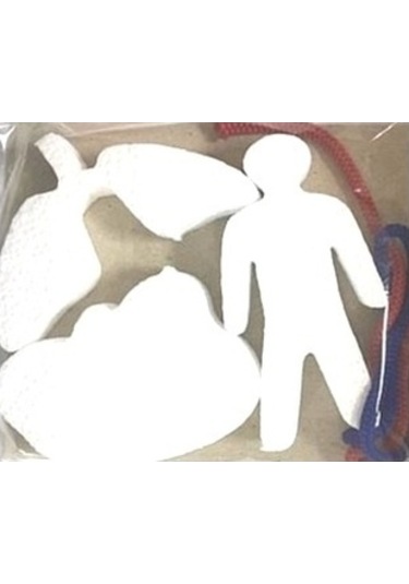 Misyon Kiwi Dolaşım Sistemleri Çalışması