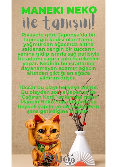 Petjoo 4.Maneki Neko Gri-Yeşil Qr'lı Kedi Künyesi