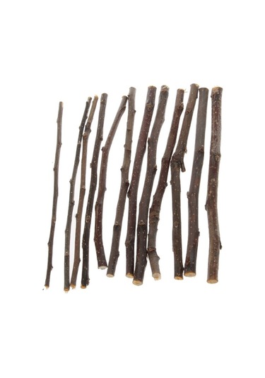 Kemirgenler için Elma Ağacı Dalı