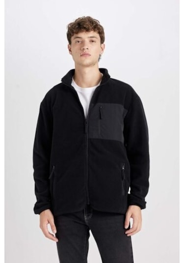 DeFacto Regular Fit Dik Yaka Fermuarlı Cepli Polar Hırka A6892AX24WNBK81 Siyah
