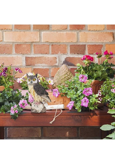 Korkuluk Sahte Kartal Baykuş Caydırıcı Bahçe Avlu Koruma Dekorasyon Caydırıcı Süs Siyah