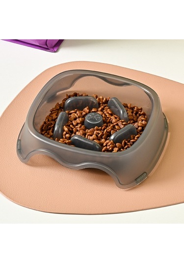 Cbtx Kare Işık Şeffaf Slow Food Evcil Hayvan Mama Kabı Köpek Maması Kedi Mama Kasesi Gri