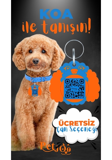 Petjoo 14.Koa Turuncu-Mavi Qr'lı Köpek Künyesi