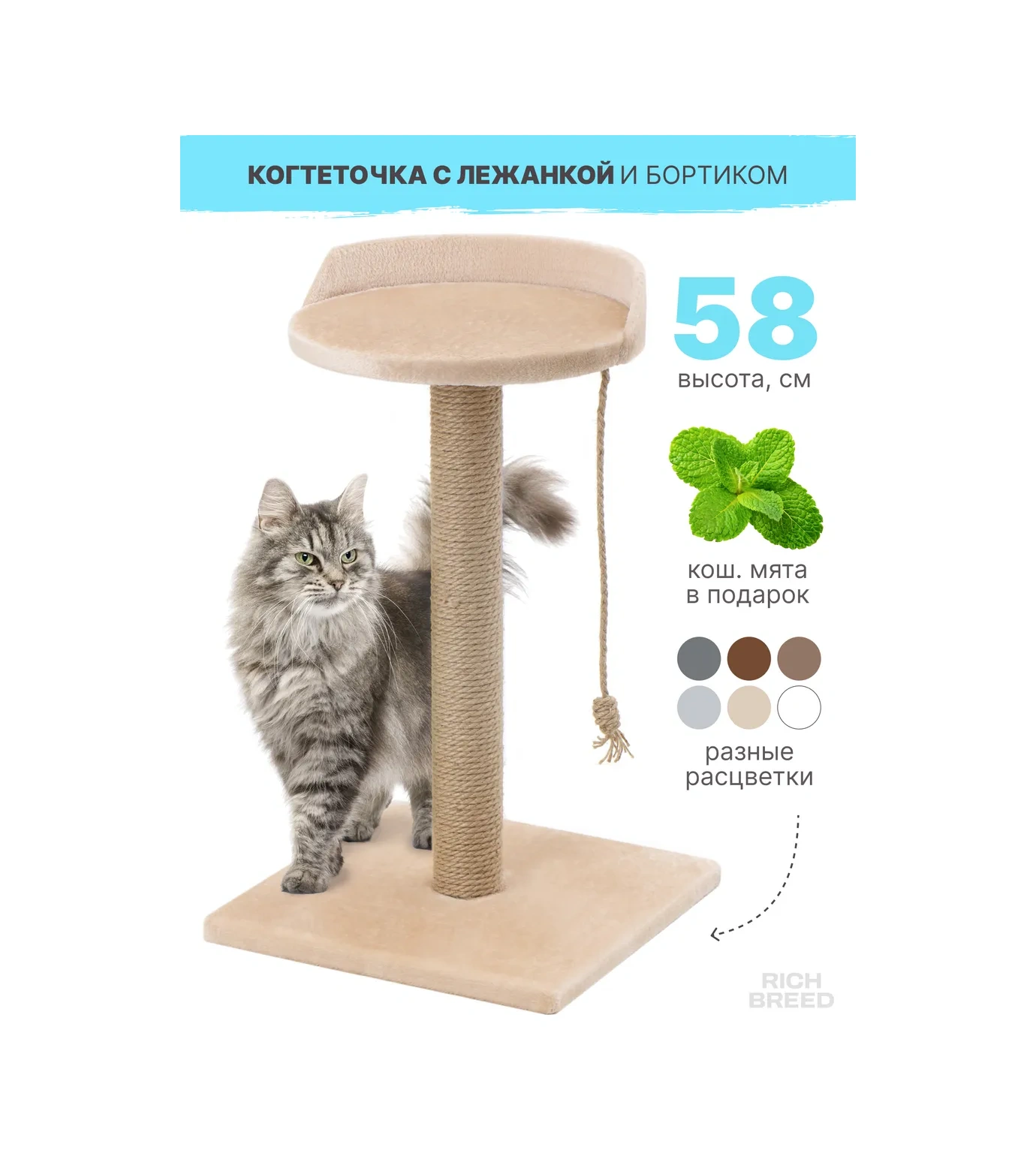 Rıch Breed Kedi Tırmalama Direği Masası Zeminli Dinlenme Yatağı 74628083