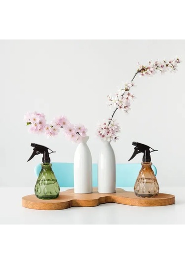 Willowhaven Yeşil + Altın 2 Adet 500ml Şık Geometrik Sprey Şişe, Ayarlanabilir Bahçe Sulama Aparatı