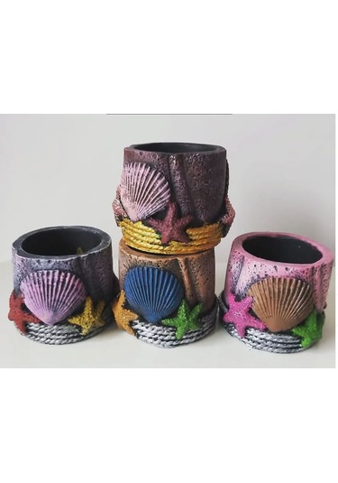 Deniz Kabuklu Saksı