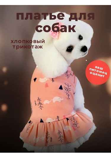 Best Golden Monkey Köpekler İçin Mercan Elbise 171019675