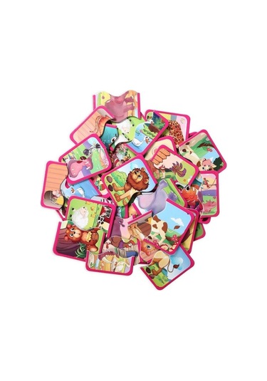 Diytoy Diy-Toy 3'Lü Hafıza Ve Flash Kartı