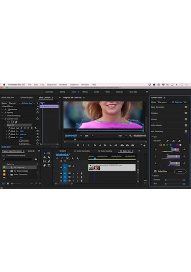 Adobe Premiere Pro Cc 2020 Bireysel Kurumsal Dijital Lisans (429485242)