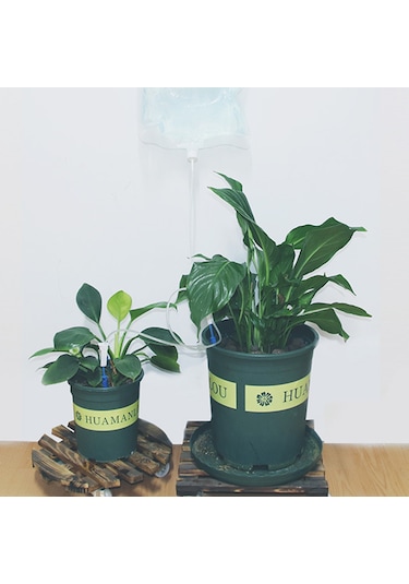 Lebihmurah 2545 Sulama Paketi Şeffaf Çanta Damla Sulama Suluk Otomatik Damla Sulama Sistemi