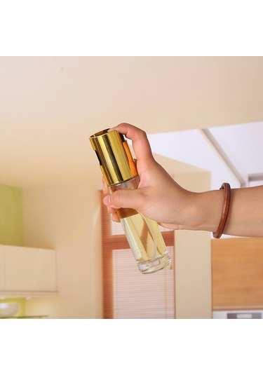 Hfambition Günlük Kullanıma Uygun Cam Ve Paslanmaz Çelik Sprey Yağ Şişesi - Sağlıklı Pişirme Ve Barbekü İçin 100ml Uzay Gümüşü Çok Renkli