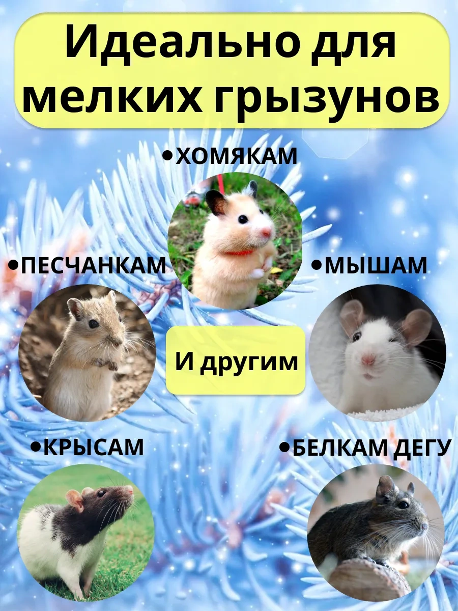 Petipet Kemirgenler Ve Sıçanlar İçin Çift Katlı Kafesli Hamak 178090170