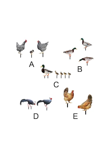 2023 Bahçe Süsleri Heykeller Tavuk Süsleri Horoz Heykelleri 2d Düz Bahçe Sanat Dekoru Çift Taraflı Desenlic