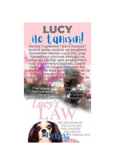 Petjoo 11.Lucy Mavi-Gri Qr'lı Köpek Künyesi