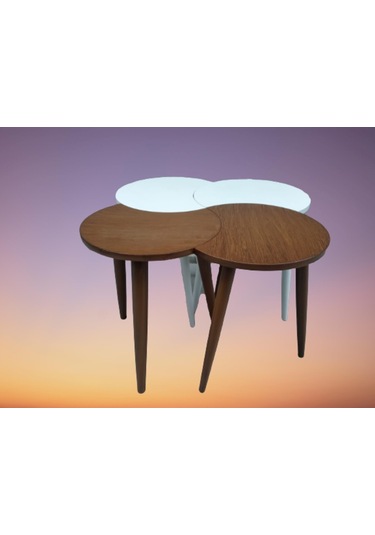 Zigon-Orta Sehpa Takım Hilal Model Parlak Ceviz Beyaz Renk Kayın