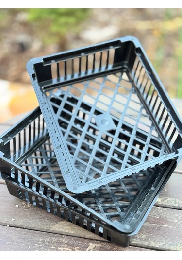 Domdacaogorod Soğanlı Bitkiler Ve Kelebek Yetiştirme Sepeti 263098583