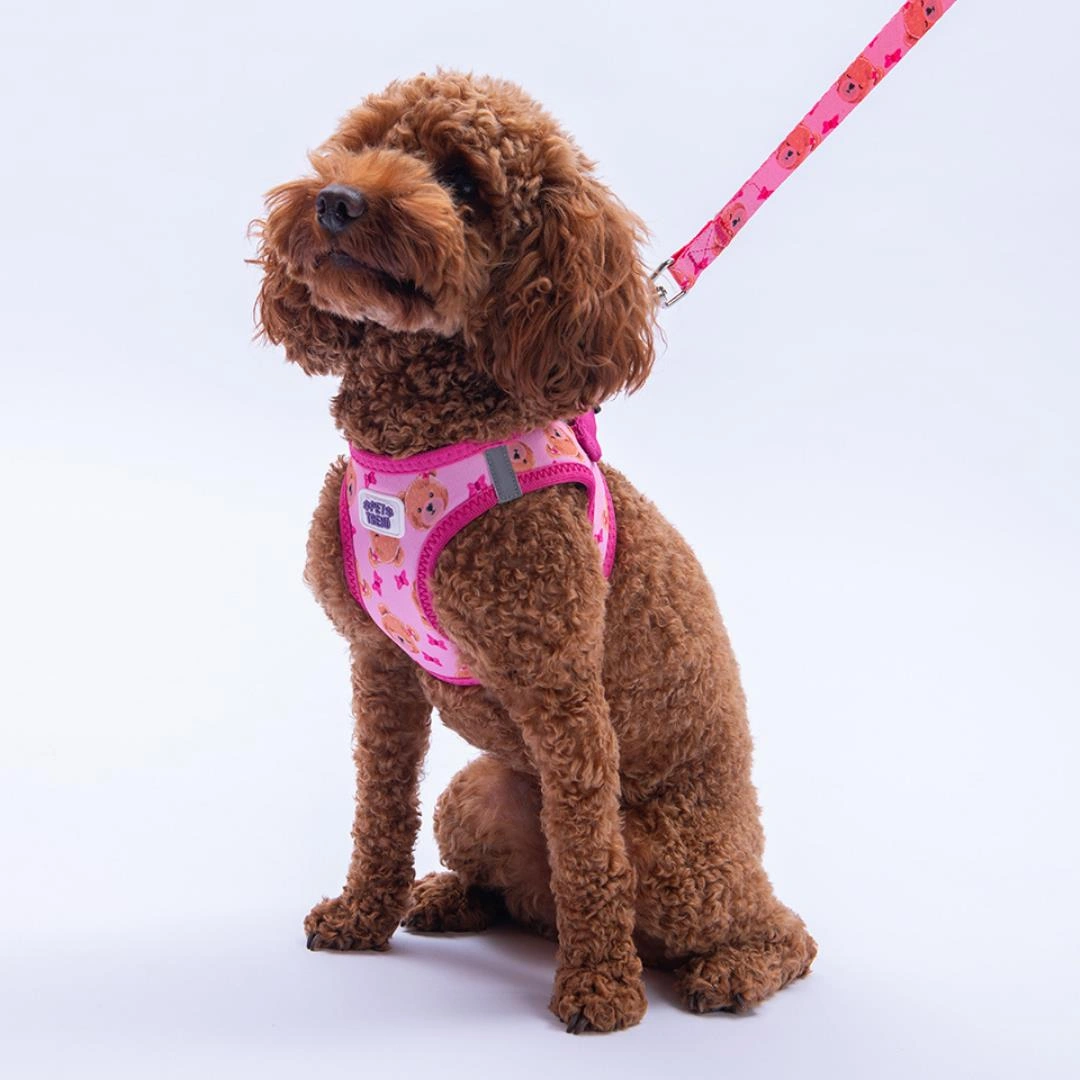 Teddy Club Göğüs Tasması Ve Sevk Kayışı Tasma Seti Ayıcıklı Kedi Köpek Göğüs Tasması Seti Pembe