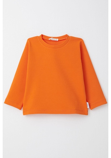 Breeze Erkek Çocuk Uzun Kollu Tişört Basic 1-4 Yaş, Turuncu-turuncu Turuncu