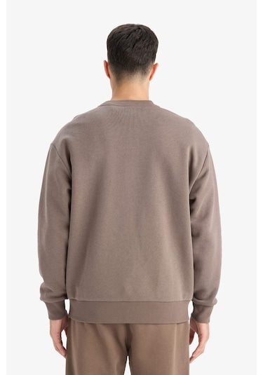 Defacto Relax Fit Bisiklet Yaka Kalın İçi Yumuşak Tüylü Basic Düz Sweatshirt T5139az25aubn571 Kahve Defacto Relax Fit Bisiklet Yaka Kalın İçi Yumuşak Tüylü Basic Düz Sweatshirt T5139az25aubn571 Kahve
