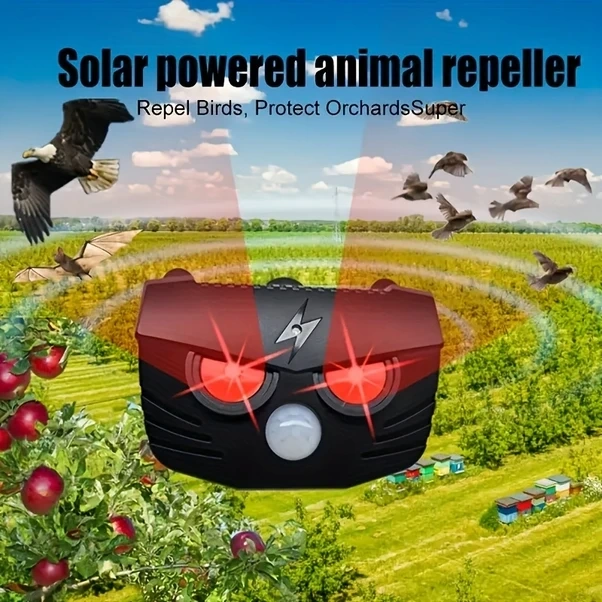 Trendooze Hayvan Kovucu Jkuoo Güneşli Gelişmiş 2li Paket Bahçe Çim