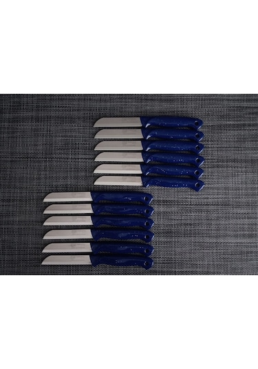 Solingen Meyve Bıçağı Simli Lacivert 12'li