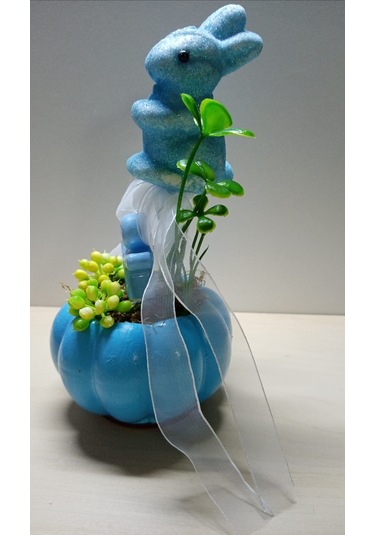 Neolife Yeni Doğan Erkek Bebek Hediyesi Doğum Tebrik Hediyesi Sevimli Tavşancık Detaylı Kabak Teraryum