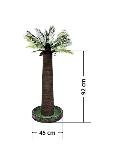 Palmiye Kedi Tırmalaması
