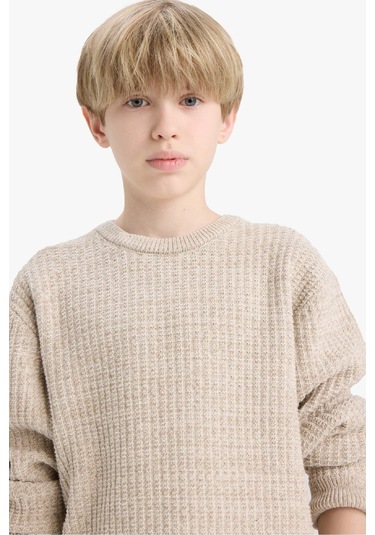 Defacto Erkek Çocuk Bisiklet Yaka Triko Kazak C9468a825aubg302 Bej