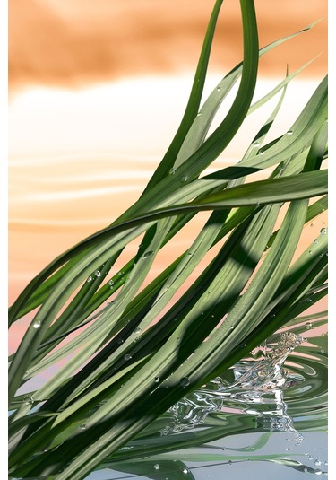 Estee Lauder Blushing Sands Kadın Parfüm EDP 100 ML Luxury Fragrance Koleksiyonu 887167571266