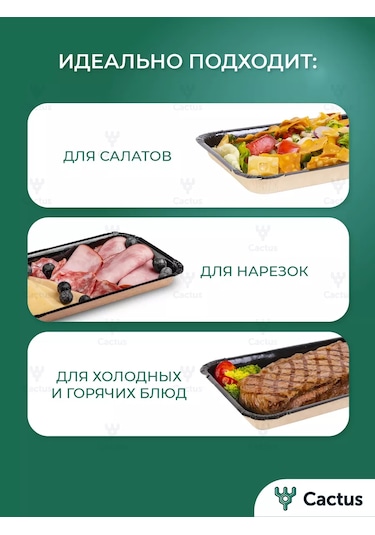 Cactus Parti İçin Tek Kullanımlık Tabak, Piknik Seti 230878543 100 adet