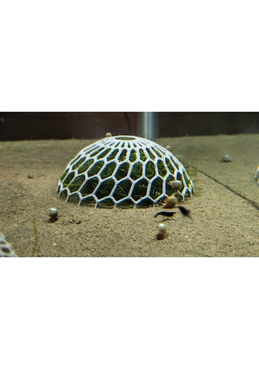2 Adet Akvaryum Moss Dome Yosun & Bitki Koruma Kubbesi