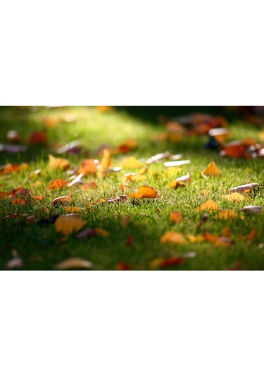 Yapay Çim Halı 40 Mm 2,5*7,95