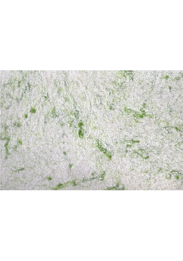 Dekoratif Sıva (103939214)